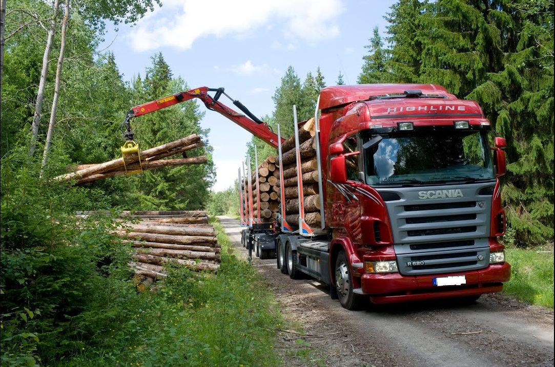 Купить права на лесовоз в Братске